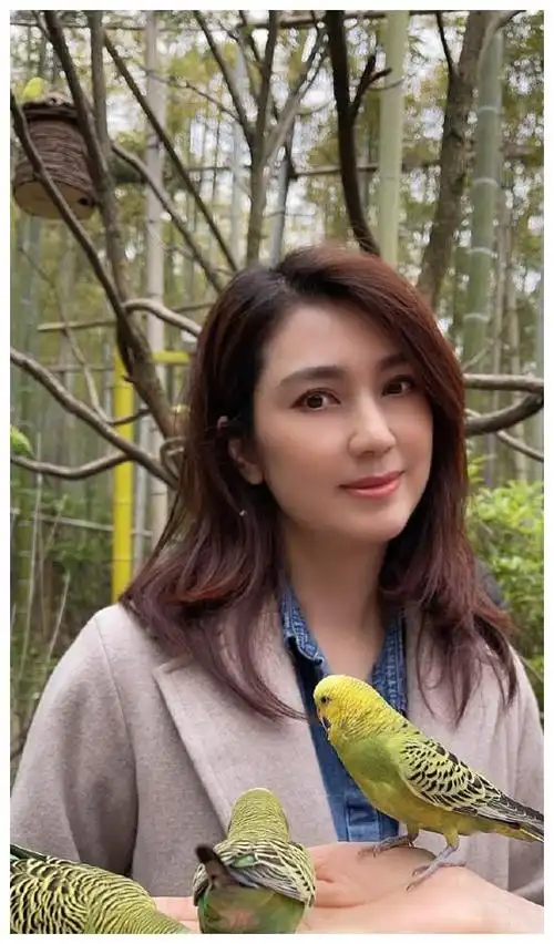 50岁洪欣近照曝光,脸部发福圆了一圈