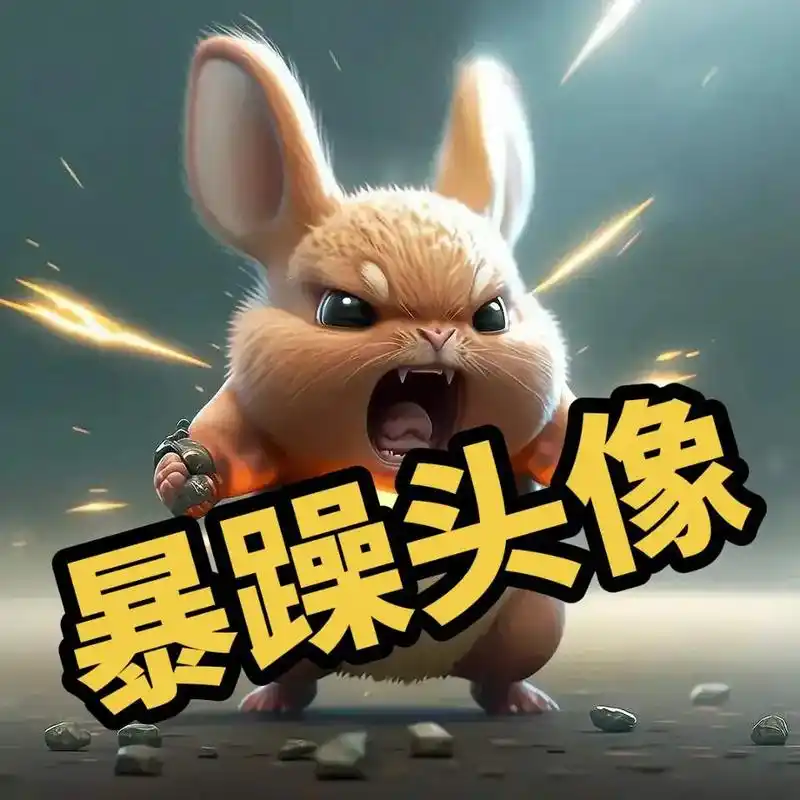 23年暴躁头像私聊领取