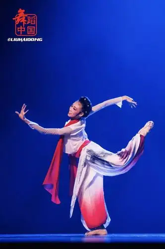 广东省第六届岭南舞蹈大赛独舞组群舞院校专业组精彩剧照