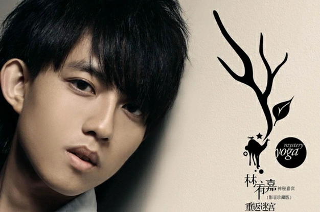 娱乐圈中姓林的5位男明星,你最喜欢谁?