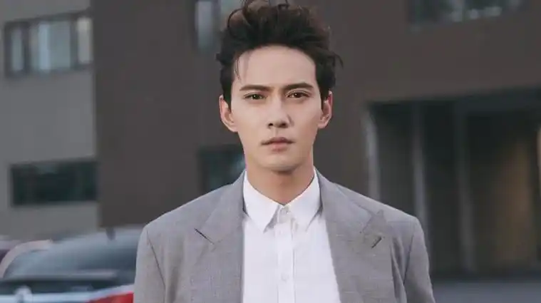 鹅蛋脸男明星代表(鹅蛋脸的中国男明星有哪些)-27