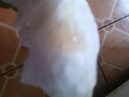 排卵期间流出来白带是怎么样子的