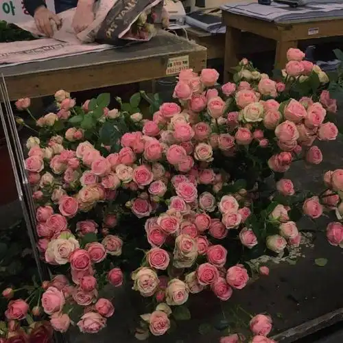 朋友圈背景图 杂图 ins 无水印 治愈