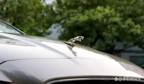 并不是所有的捷豹车型都在车头上装饰了立体的豹子标志,那么,捷豹车标