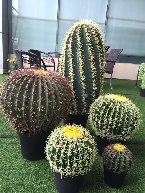 th-19人工人造人造多肉质圆形大型仙人掌植物,用于室内草本花园装饰