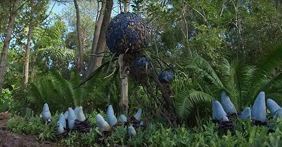 迪士尼阿凡达世界主提公园