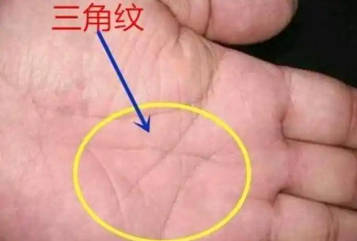 手掌三角纹出现在这个位置 预示你的身体发出了危险信号 -996手相网