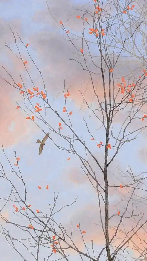 清新舒服的聊天背景更新附加其他风格