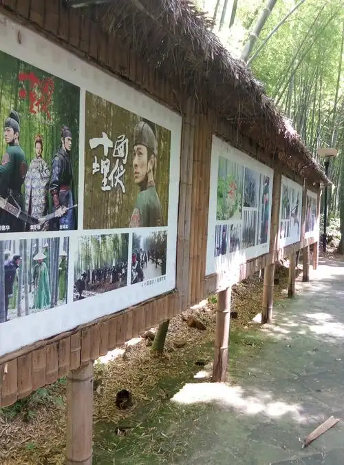 十面埋伏拍摄地茶山竹海