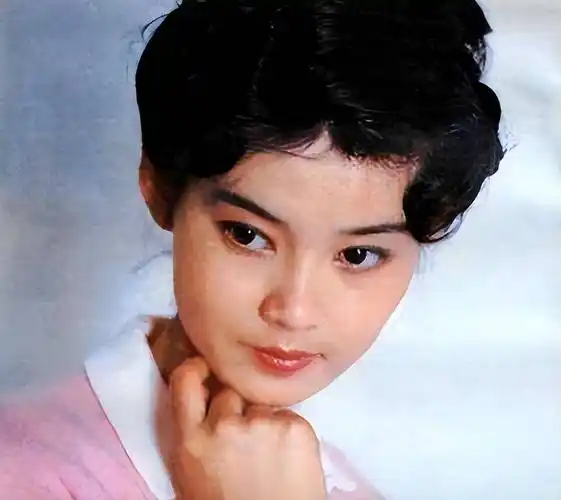 宋丹丹_陈瑾_潘虹