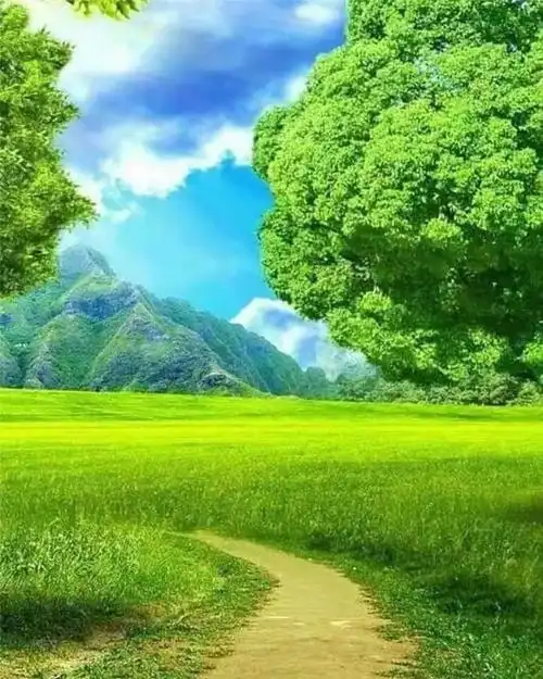 美言美景养眼养心