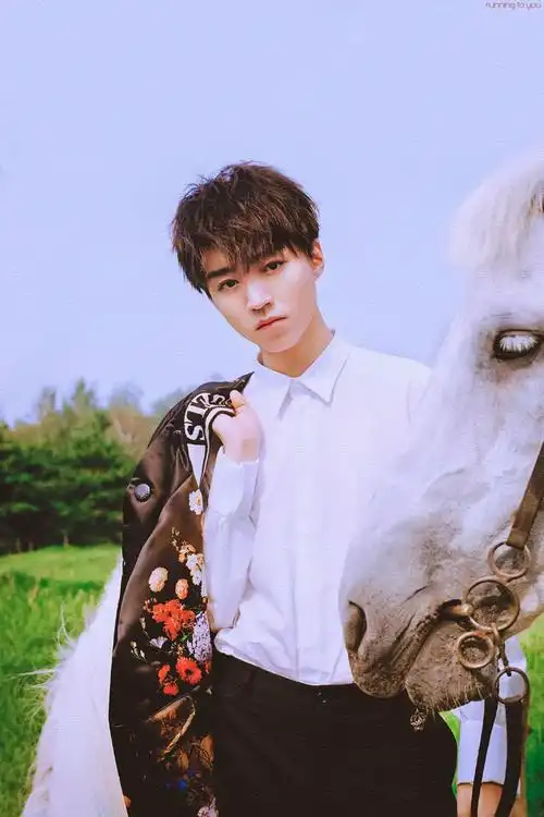 各位可以分享一下王俊凯的无水印绝美图片和语录吗?