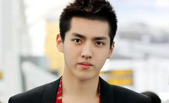 吴亦凡个人资料 艺人吴亦凡个人资料