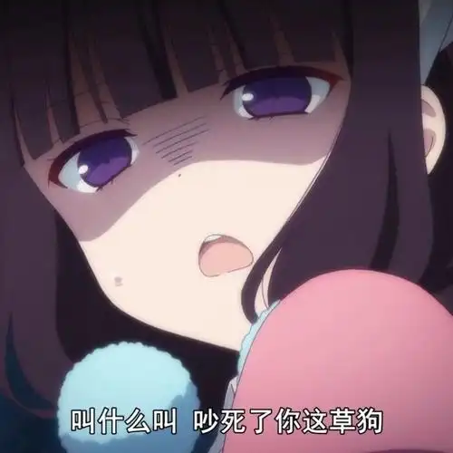 叫什么叫吵死了你这草狗表情包制作聊天图片表情