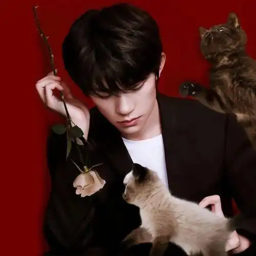 【微信头像】易烊千玺