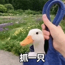 最近很火的抓鸭子是什么梗表情包来了