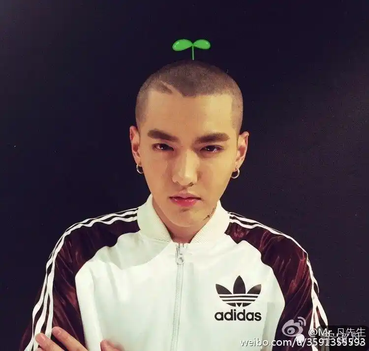 粉丝考古回顾,吴亦凡的光头夺冠2015年度最红身体部位