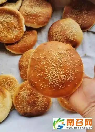 滑县高平镇陈金鑫红盖烧饼培训总部