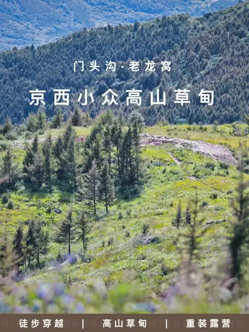 一日徒步刷爆朋友圈的又一绝美高山草甸