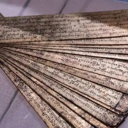 书写千年文化方舟——贝叶经_贝树叶_佛教_写本