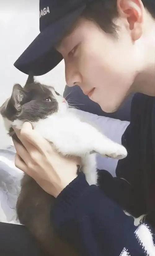 肖战的日常生活照对我更有杀伤力!__财经头条