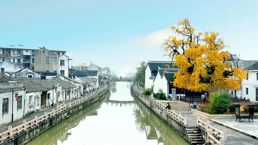 《醉美晚秋十一月》(星爷手机记录深秋宜兴)