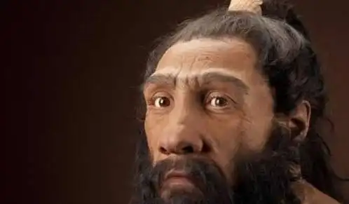 尼安德特人十分聪明,上4.2万年前突然消失,灭绝原因难以启齿