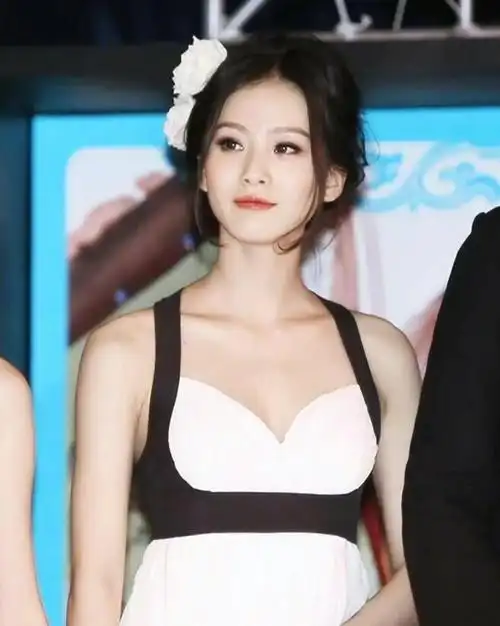 年轻时刘诗诗的美,神颜啊