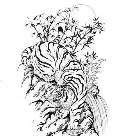 这套包小腿纹身手稿素材不要错过