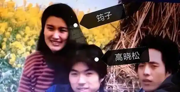 高晓松却突然提出了分手,只因他移情别恋爱上了美女沈欢,几天后就跟