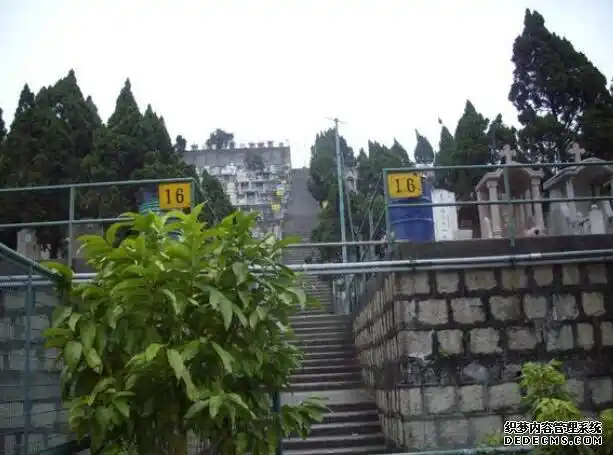 缅怀18年名人逝世:李敖,金庸,李咏,蓝洁瑛