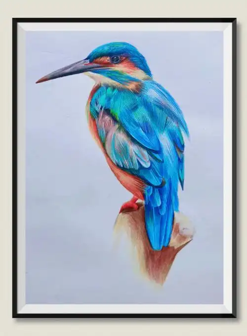 彩铅画鸟临摹彩铅:尼奥尼150色#彩铅画  #彩铅手绘  #彩铅绘画  #彩铅