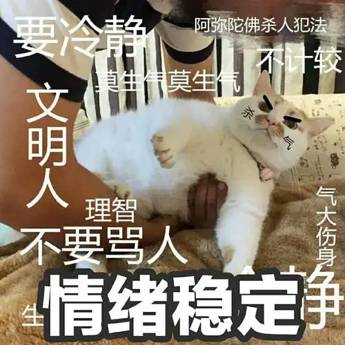 要冷静,文明人,不要骂人,理智,情绪稳定!