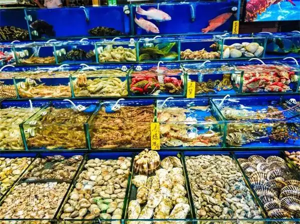 新手如何经营好水产店