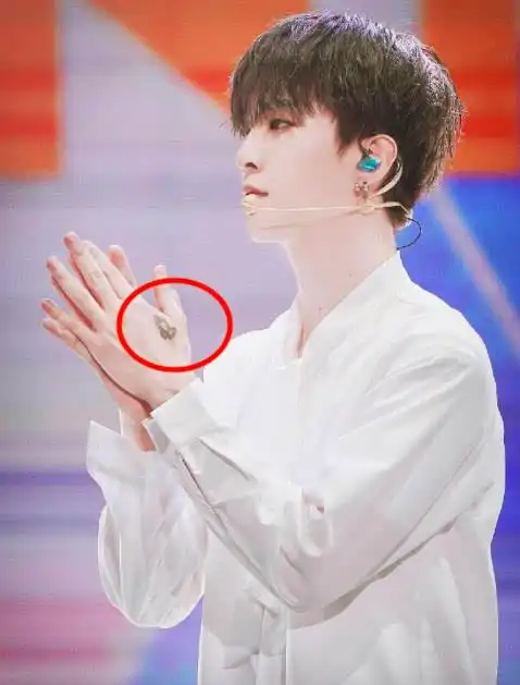 范冰冰弟弟范丞丞刚成年再添新纹身:3个纹身都有特殊意义!