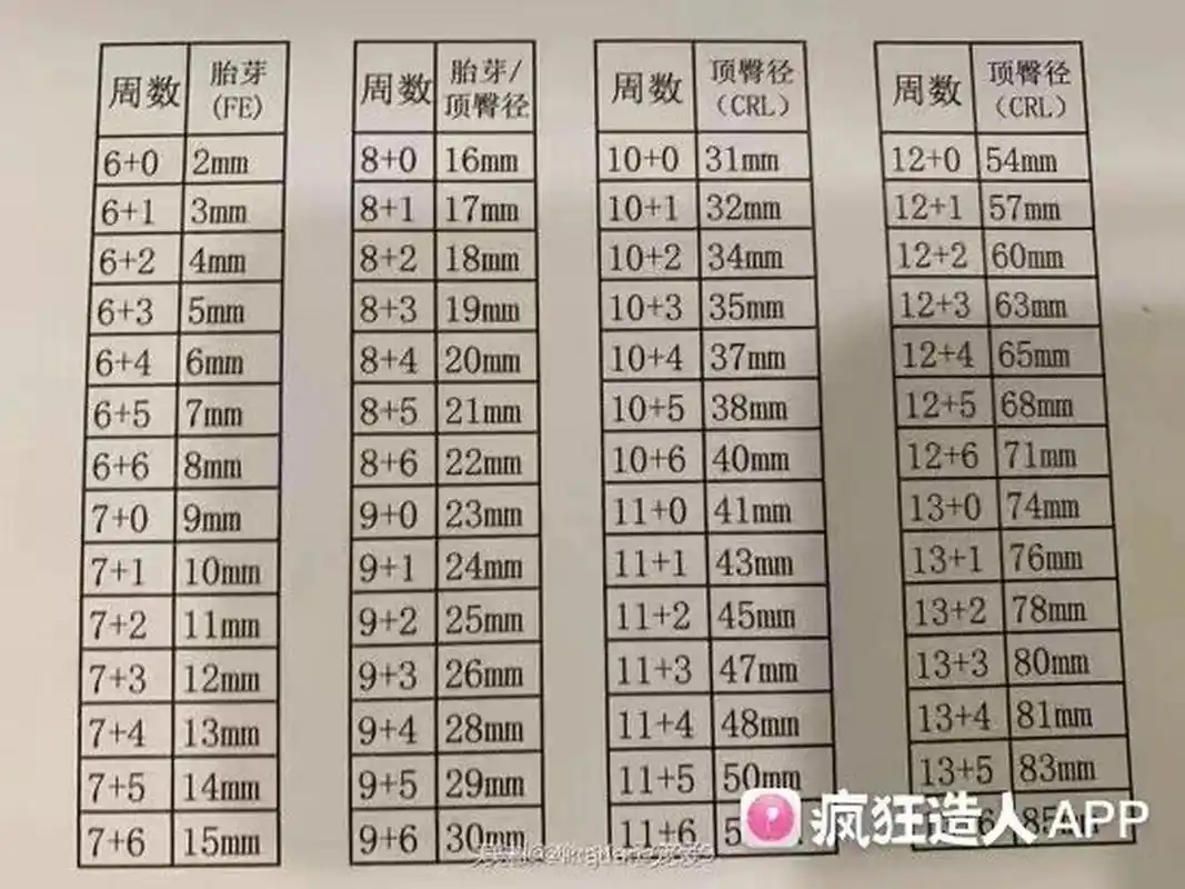 孕9周,胎芽长到2.4cm 末次月经2.