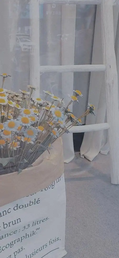 干净ins风壁纸本文主题内容是:电脑壁纸ins风冷淡(ins风电脑壁纸)背景