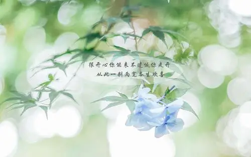 分手后让对方心痛的话带字图片