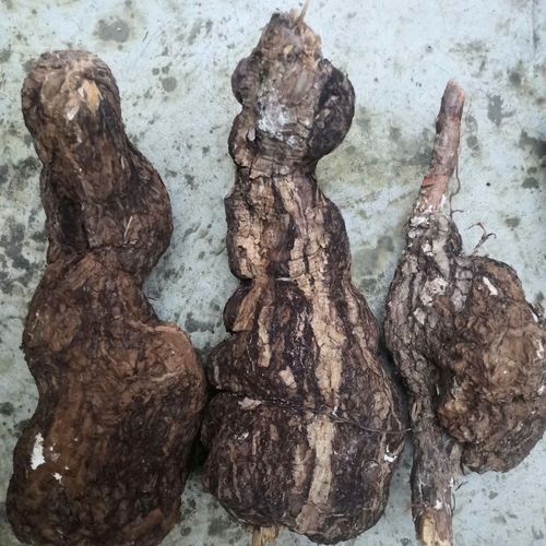 云南茯苓伏神无硫白茯苓带皮茯苓中药材熬粥泡茶煲汤祛湿气