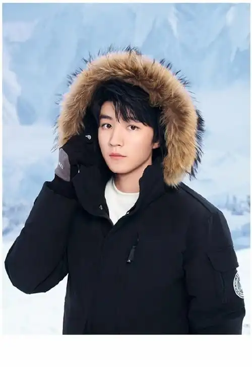 王俊凯骆驼品牌全球代言人