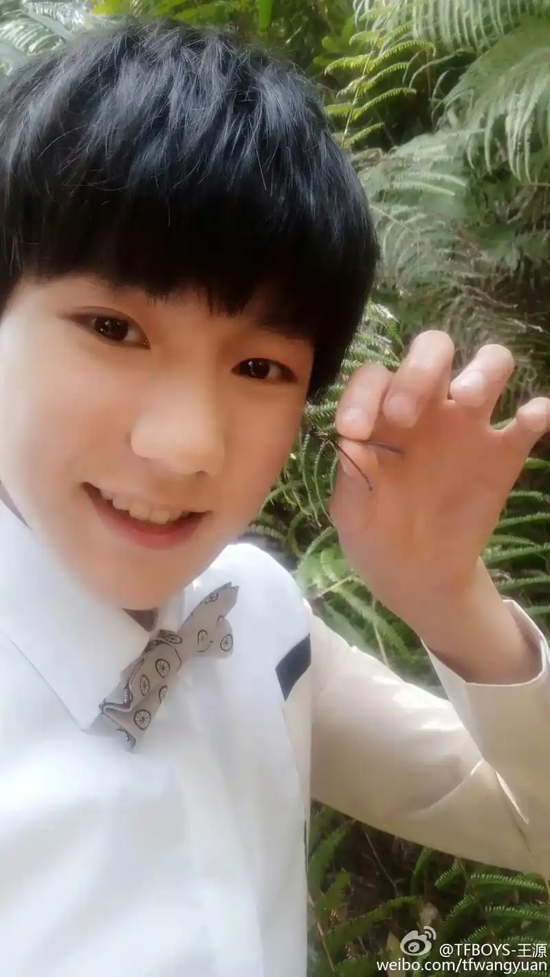 小时候的蜻蜓,终将飞回你手里 环球人物作家王源00王源说0320