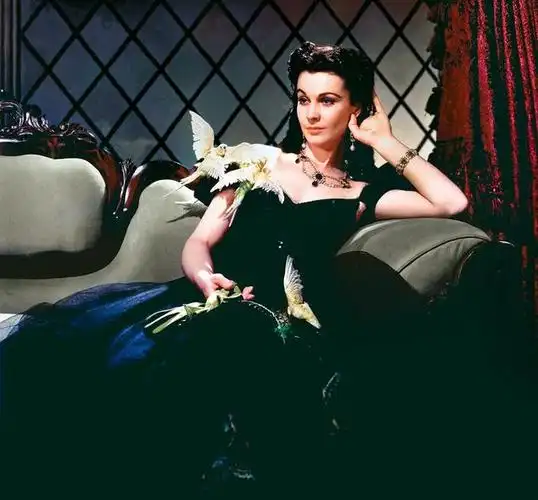 从《乱世佳人》斯嘉丽裙摆的变化看19世纪晚期美国女性服饰变迁