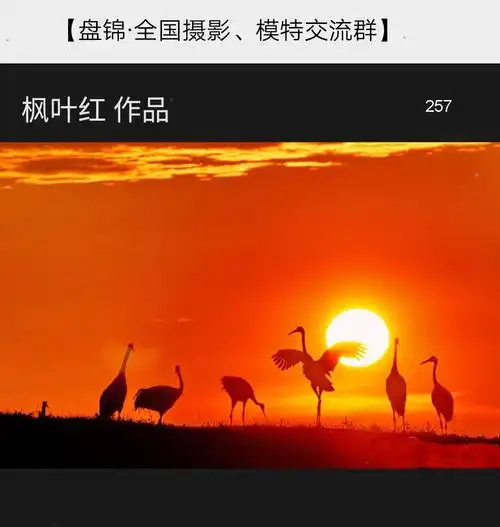 枫叶红入选中国各摄影网站 作品集( 风光类 100幅)