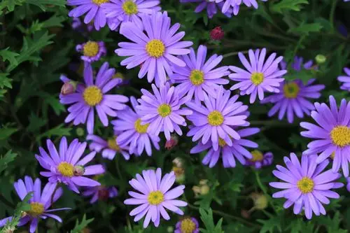 11 今天换了眼药水眼睛感觉舒服了些,然后就开始作死