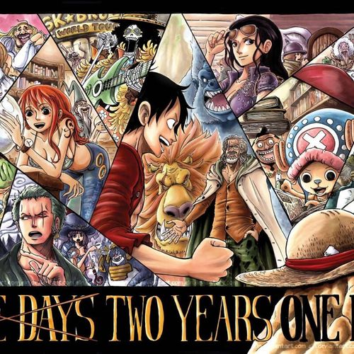 彤蓓佳拼图1000带边框动漫海贼王 木制拼图成人高难度1000可定制 10