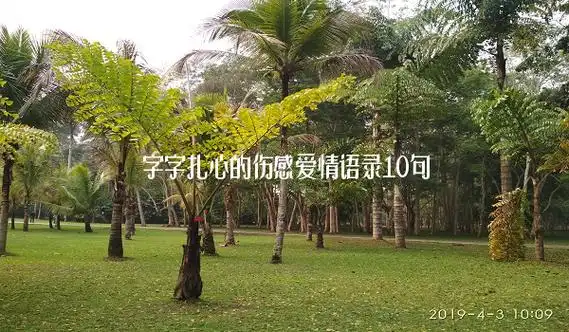 字字扎心的伤感爱情语录10句