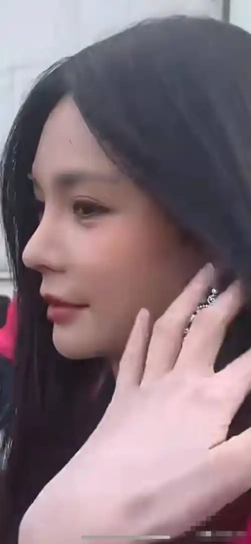 原创沈梦辰这是把鼻子捏上去了吗网友纷纷吐槽像泰国人