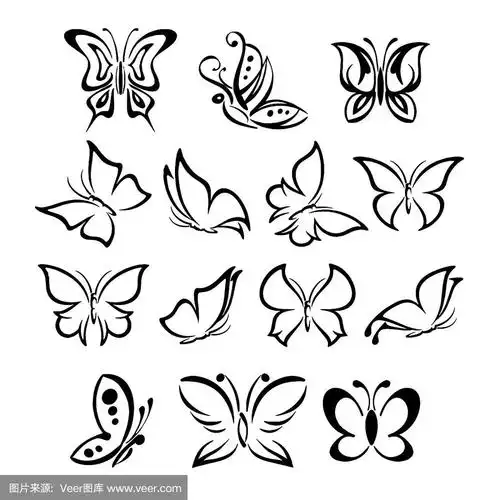 一套美丽的黑白蝴蝶向量