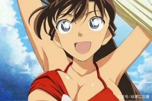 与工藤新一长得像的人个个都是黑不溜秋为啥小兰还能认错