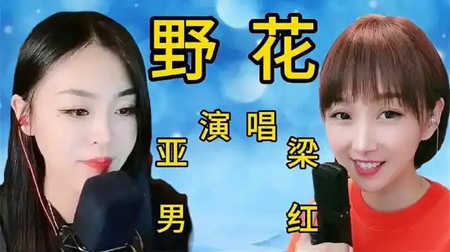 网红歌手梁红,亚男各唱《野花》,你更喜欢谁唱的歌|田震|民谣|流行